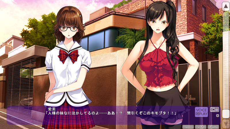 图片[2]-愛姉妹IV-肥宅美梦 完整精翻汉化版+全CG存档【佳作/全CV/4G】gyx22215-八角形
